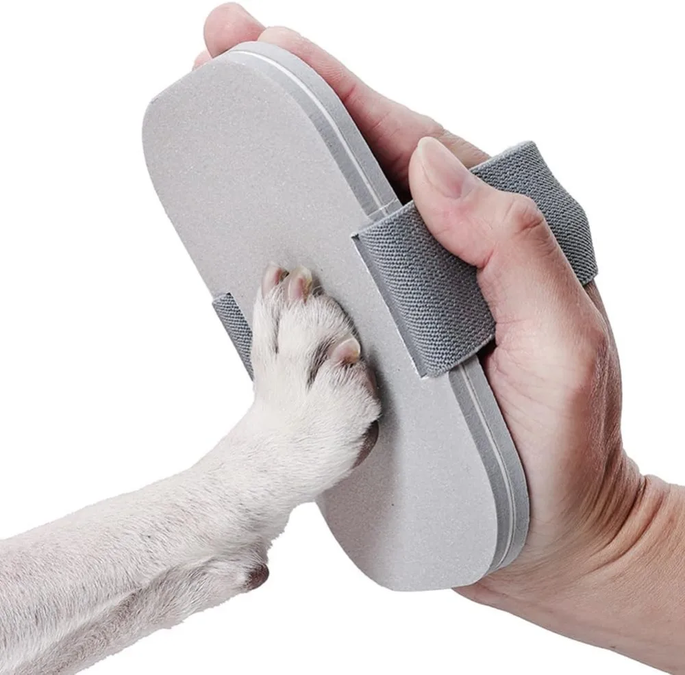 Dog Claw Grinding Training Board, With Widen high elasticity elastic band and Cleaning Brush for Dogs