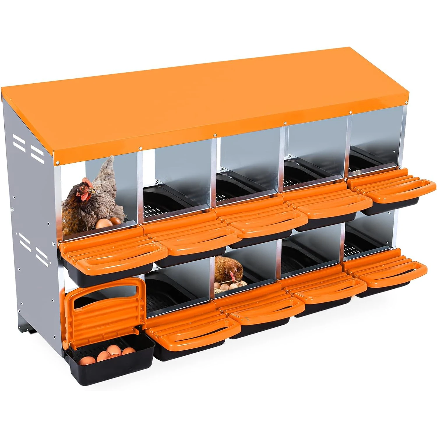 10-Hole Chicken Nes… - image