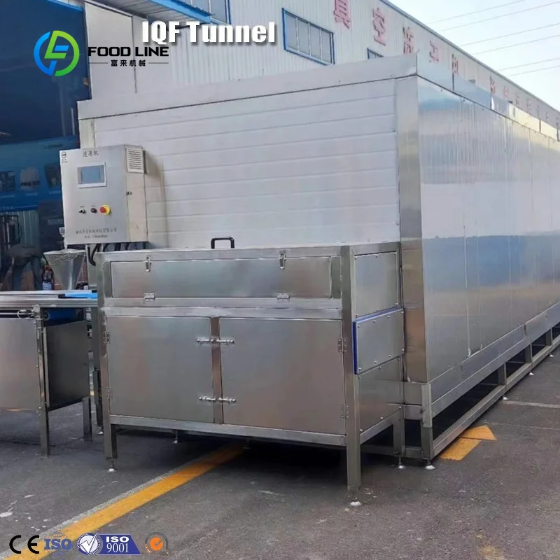 Customized 100kg/h Commercial Stainless Industrial IQF Tunnel Freezer Quick Freezing Machine/Blast Freezer for Shrimp/Meat