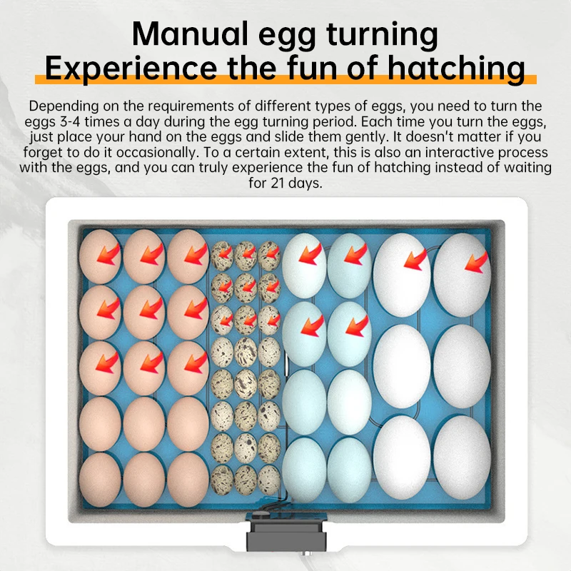 حاضنة بيض الدواجن الصغيرة سرير مائي محاكاة حيوية حاضنة أوتوماتيكية بالكامل ذكي الدجاج والبط أوزة ترموستاتي على مدار 24 ساعة