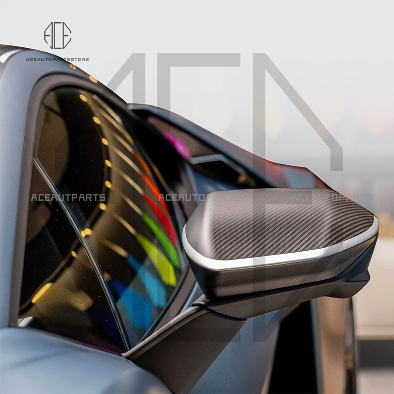 Oem-Style Dry Carbo…