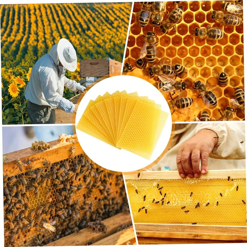 ABFS Hojas de cera de abejas Hojas de base de cera de abejas Base de cera para marcos de abejas Hojas de panal naturales Hojas de cera de abejas
