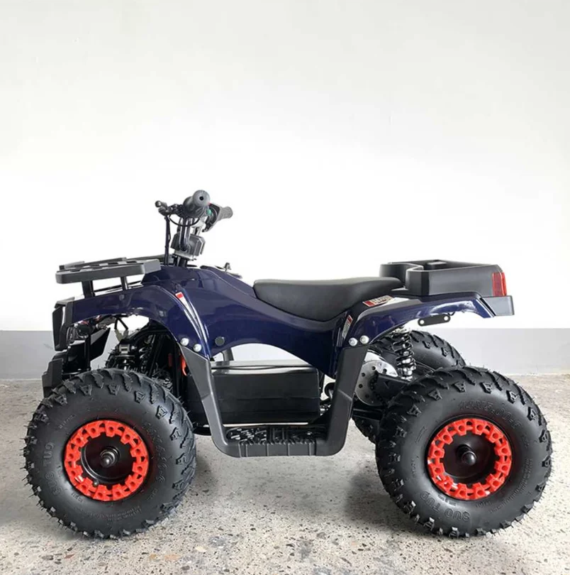 

High Quality Atv 36v 800w Kids Atv Electric Sports Mountain Outdoor Beach Buggy Atv Mini Electric
