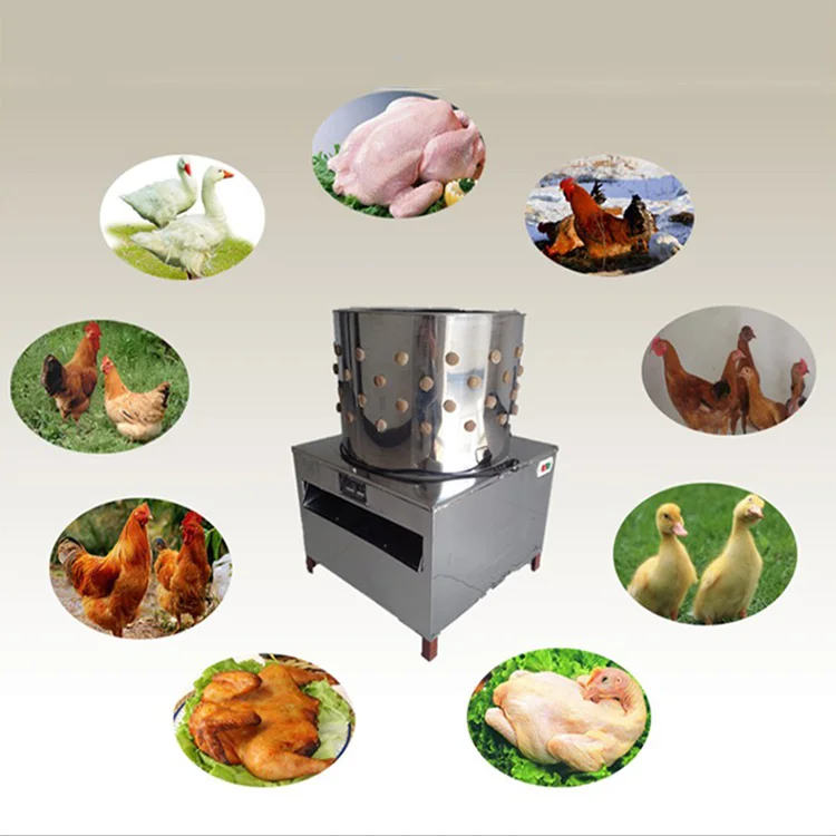 2025Дегибатель выщипывания курицы