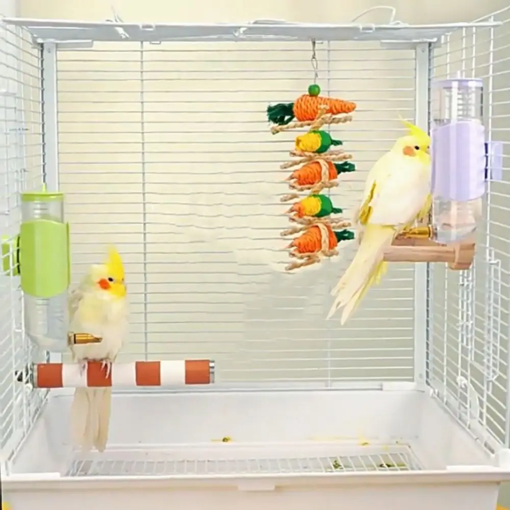 Parrot Striking Needle Water Dispenser Large Capacity Automatic Water Bottle Bird Water Dispenser