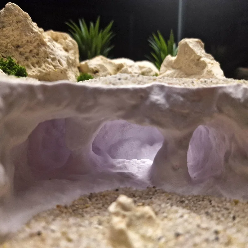 Thumbnail 4 - #17 Cheap Aquarium Decor Worth Buying