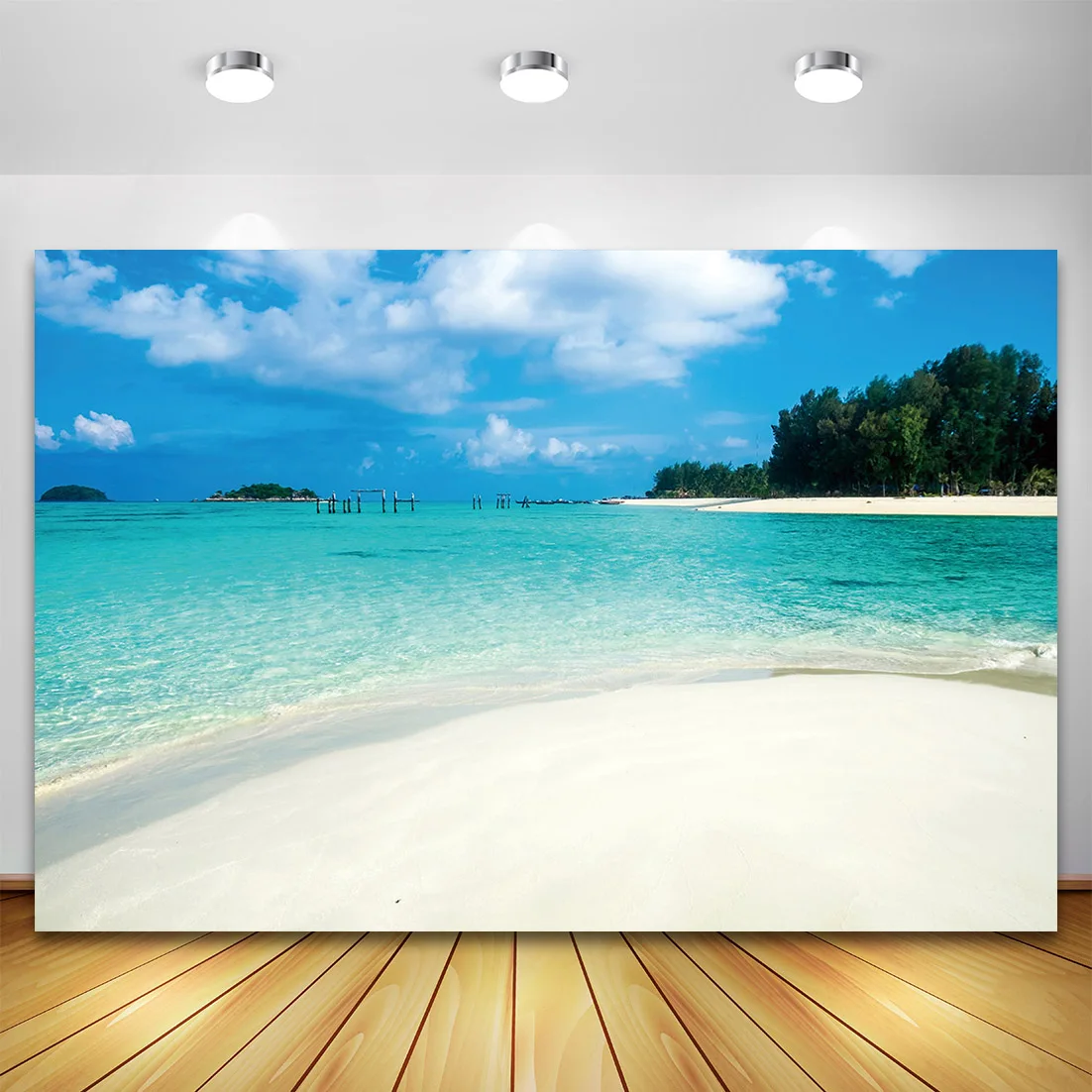 Summer Tropical Beach Sea Photography Backdrop for Photo Studio Seaside Palm Tree Sky Cloudy Photo Background Party Photophone