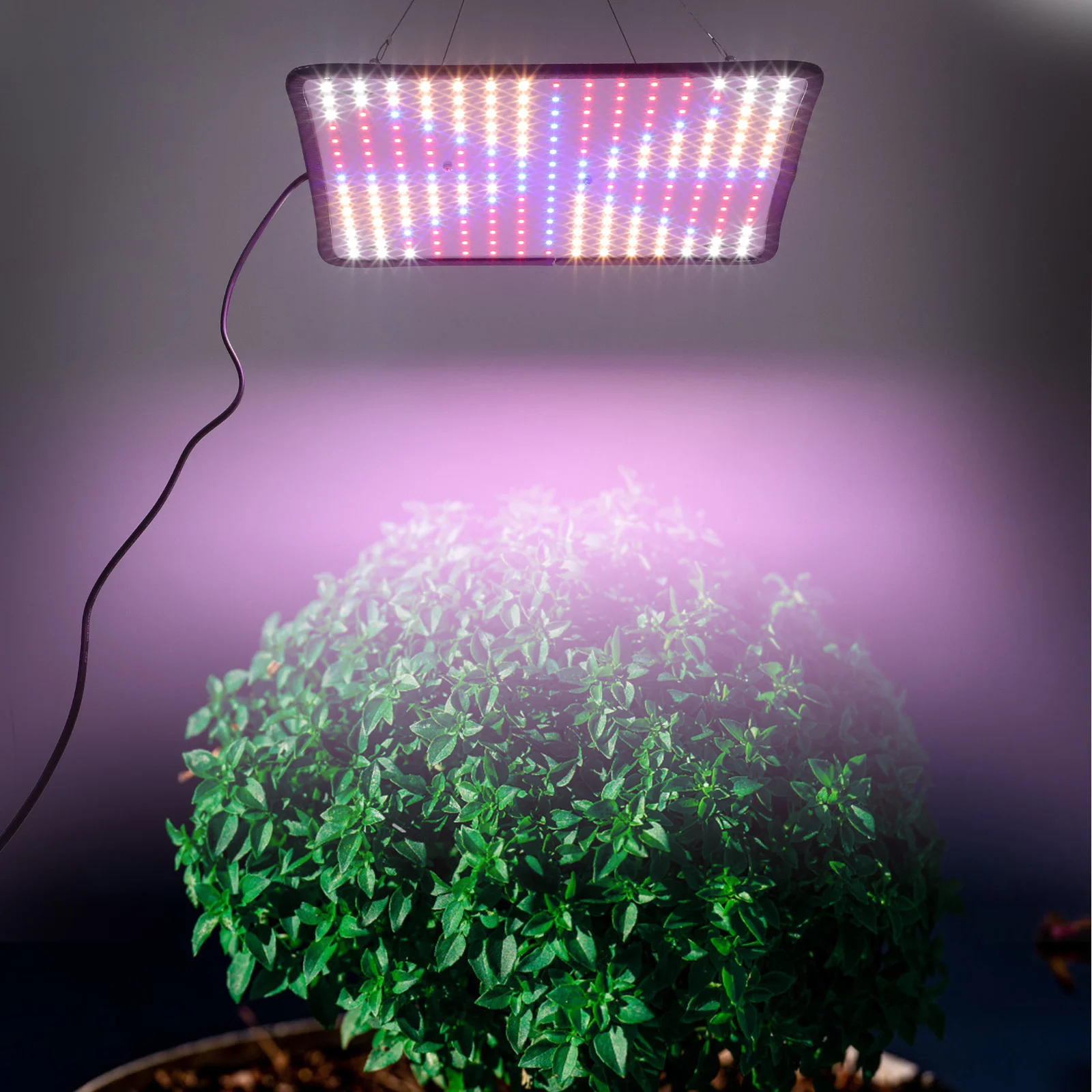 

1Set Hanging Plant Growth Light Full Spectrum LED Dimmable Lamp for Greenhouse Indoor Plant Cultivation Dimmable Plants Lamp