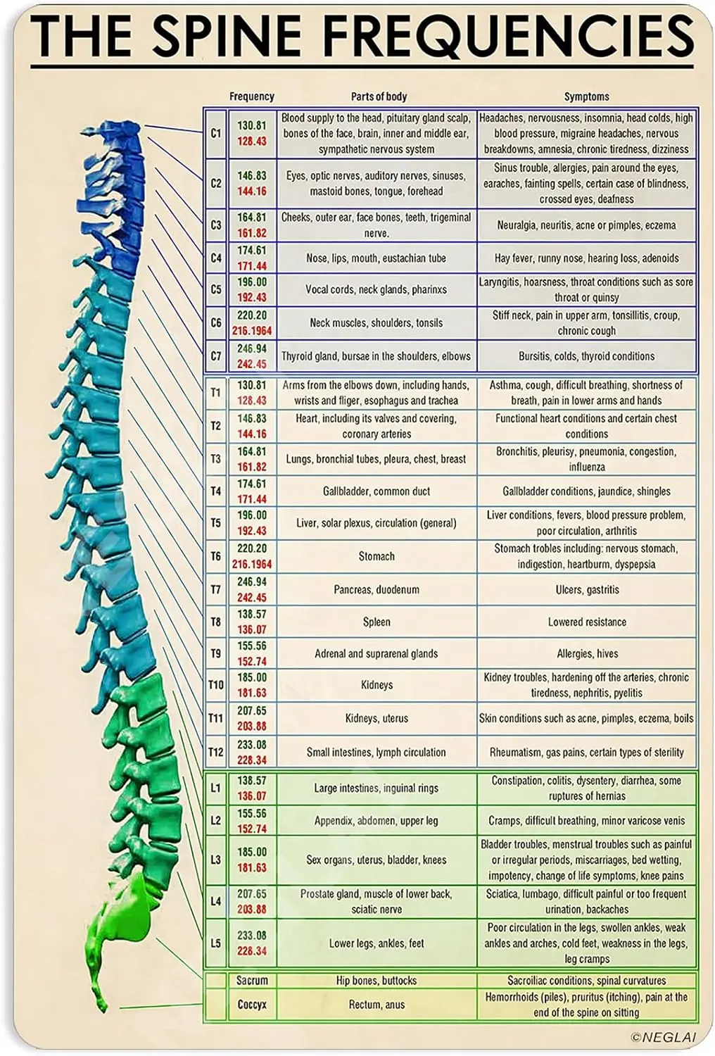 The Spine Frequencies Knowledge Tin Sign Poster, Vintage Decor Home Gym Fitness Rehab Center Office Wall Art Metal Sign 16x12 In