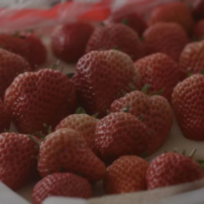 

ДЛЯ MJX H12Y H12P Радиоуправляемые автомобили Радиоуправляемые грузовики Бесщеточные запасные части E45M