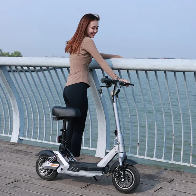 25km/h Two Seat Scooter Electric Scooters with Removable Battery