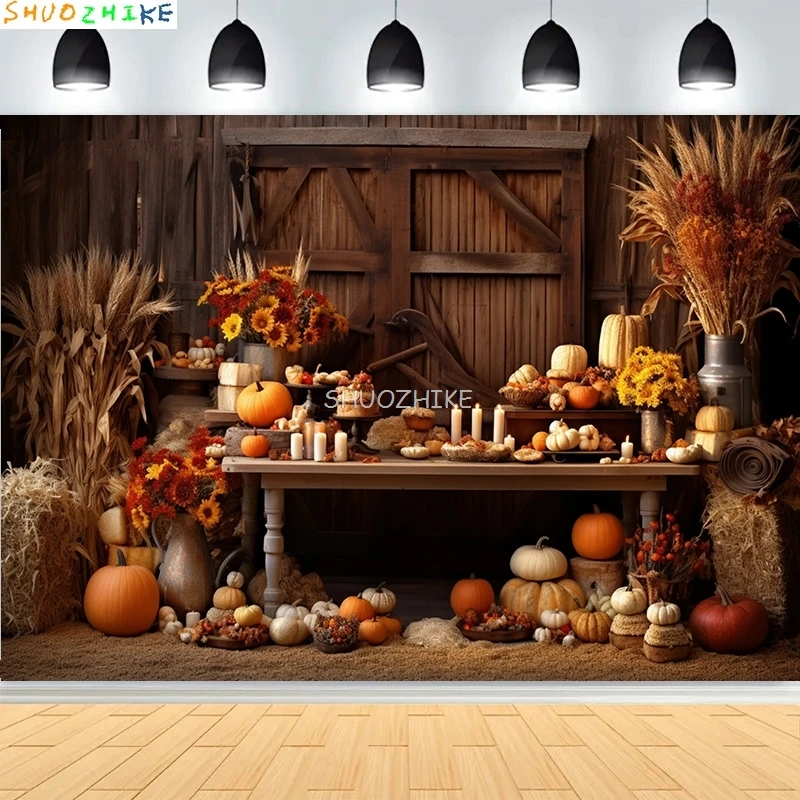 

Rainbow Balloons Flowers Birthday Party Background Newborn Boat Circus Stars Beach Scene Cloud Theme Photography Backdrops AT-15