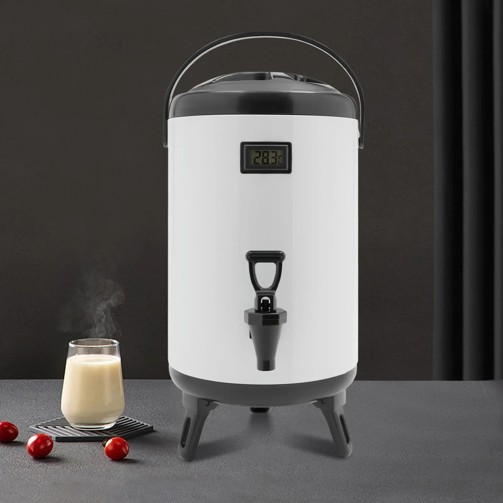 Stainless Steel Insulated Beverage Dispenser Cold and Hot Drink Dispenser with Thermometer 10L Water Dispenser with Spigot