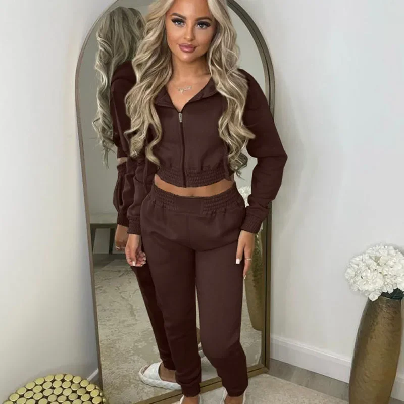 Solido Casual Set a due pezzi Tuta da donna Autunno Inverno Manica lunga Cerniera Giacca con cappuccio e pantaloni sportivi Set Abbigliamento sportivo da corsa