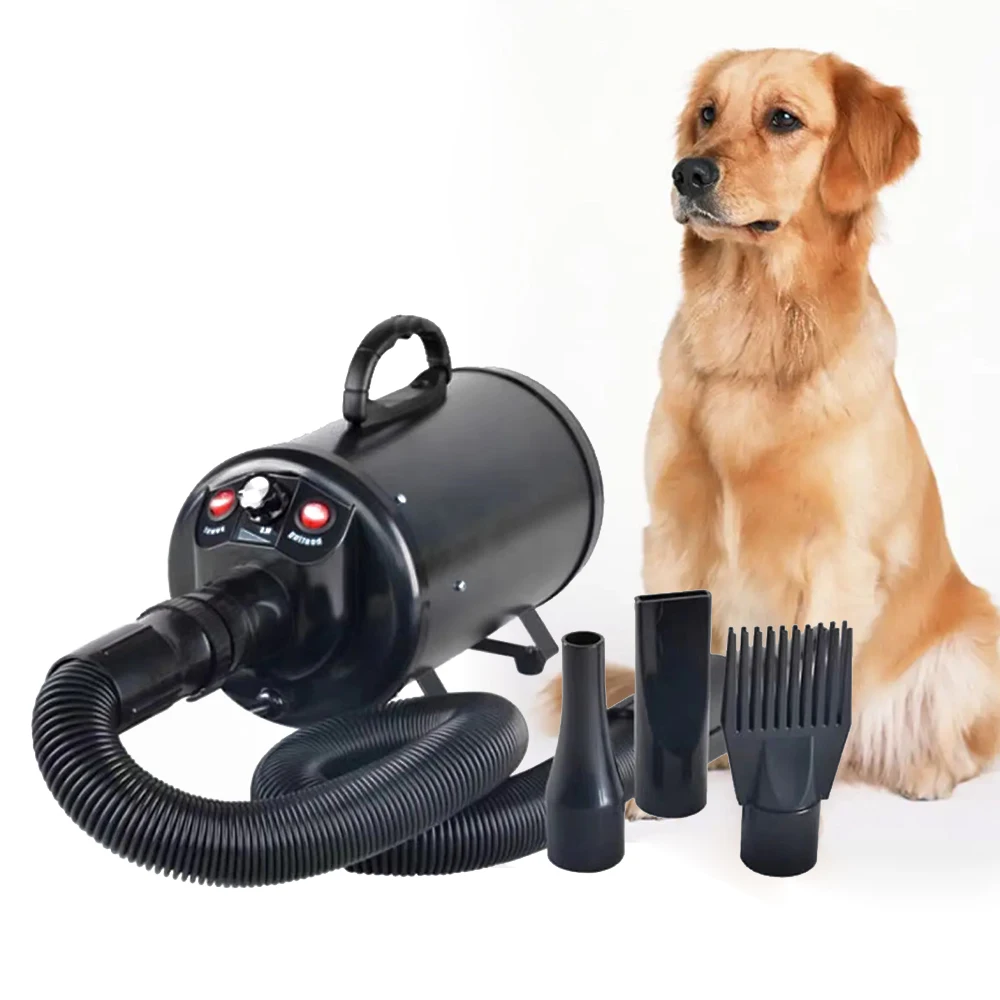 Professional CE certified 220V 2600W Pet hair blowing machine mute dog variable speed hair dryer