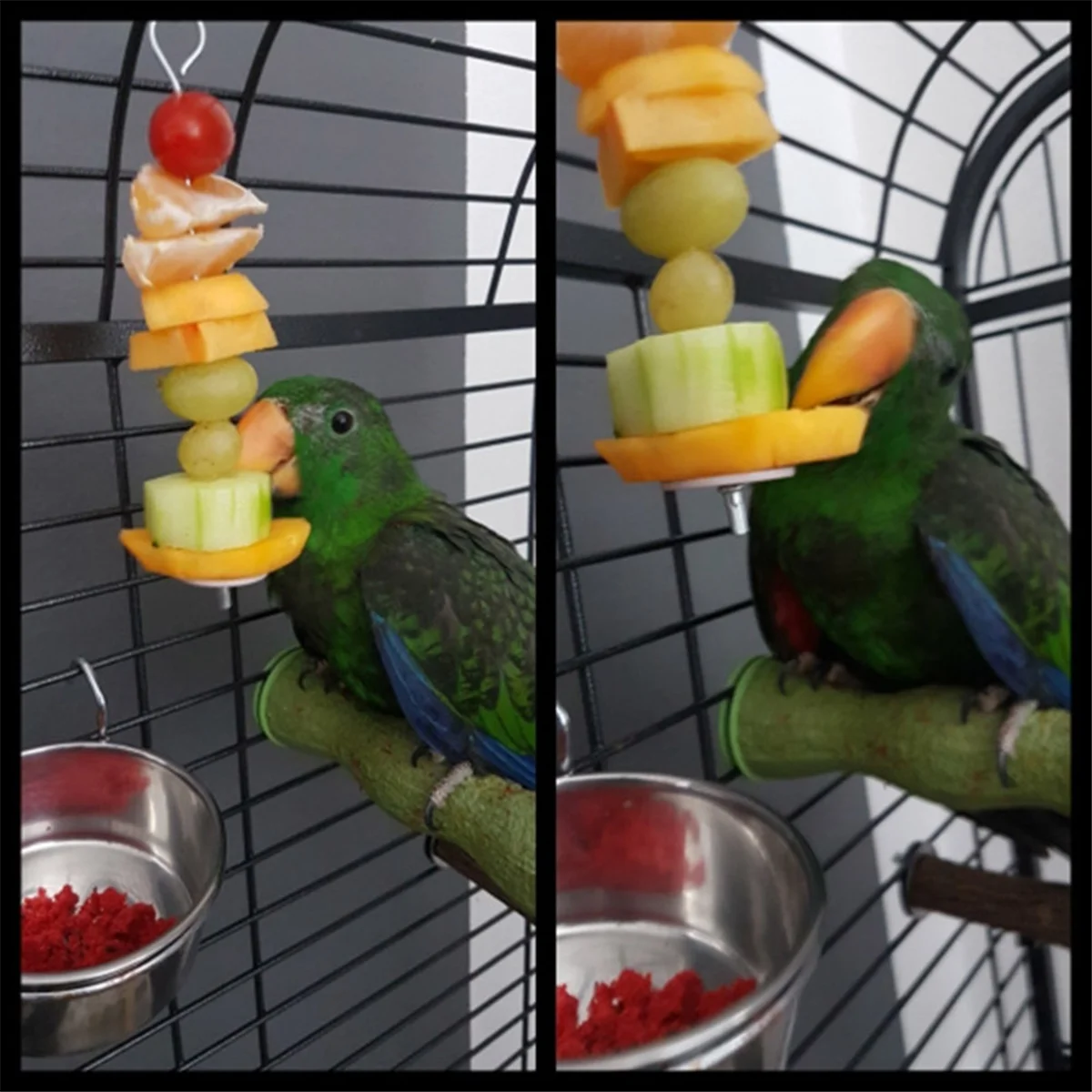 HHTL Pet Parrot Bird Food Rack Stand Fruit Fork Meat Fruit Vegetable String Tool Accessories