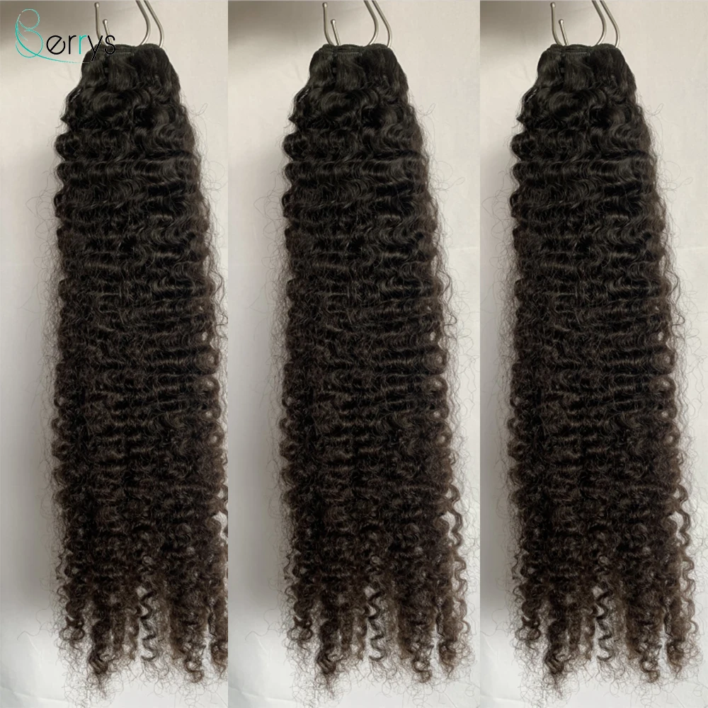 Burmese Curly Human Hair Bundles 1/3/4 Pcs/Lot Sew In Hair Extensions Narure Color 100% Unprocessed Curly Wave Virgin Hair