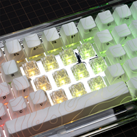 XVX 45pcs Full Transparent Switches Linear Switches Contour Companion Switches RGB Customized Switches for Mechanical Keyboard