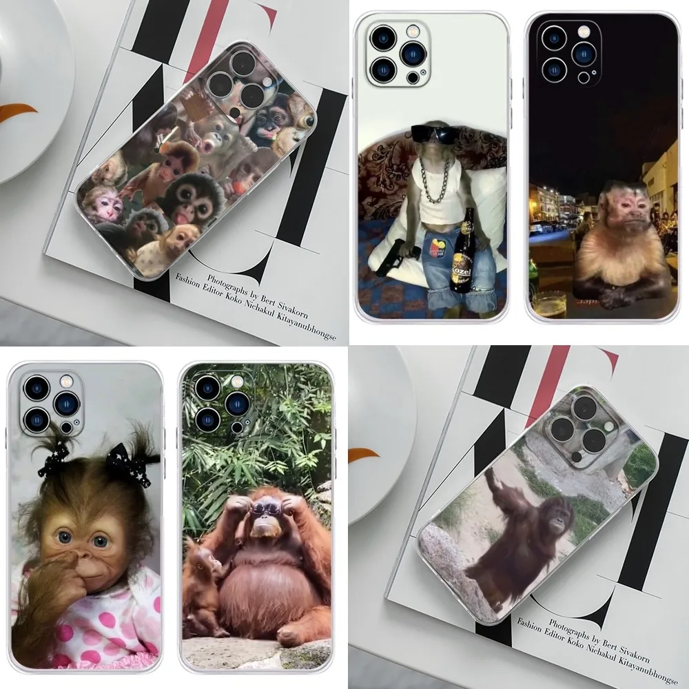 Cute monkey  Phone Case For iPhone 16,15,14,13,12,11 Plus,Pro,Max,XR,XS,X,7,8 Plus,SE,Mini Transparent Silicone soft shell