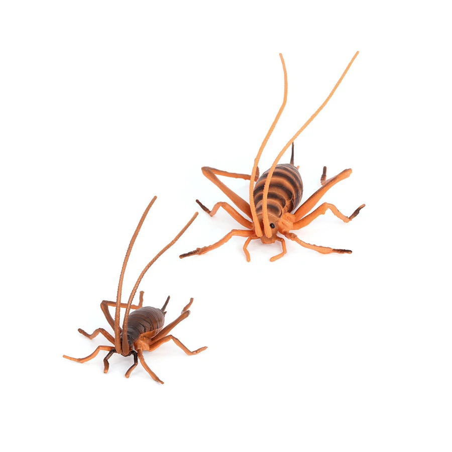 Realistic Wild Insect Chirping Crickets Animals Model Figures Home Garden Ornaments Statues Science Educational Collection Toys