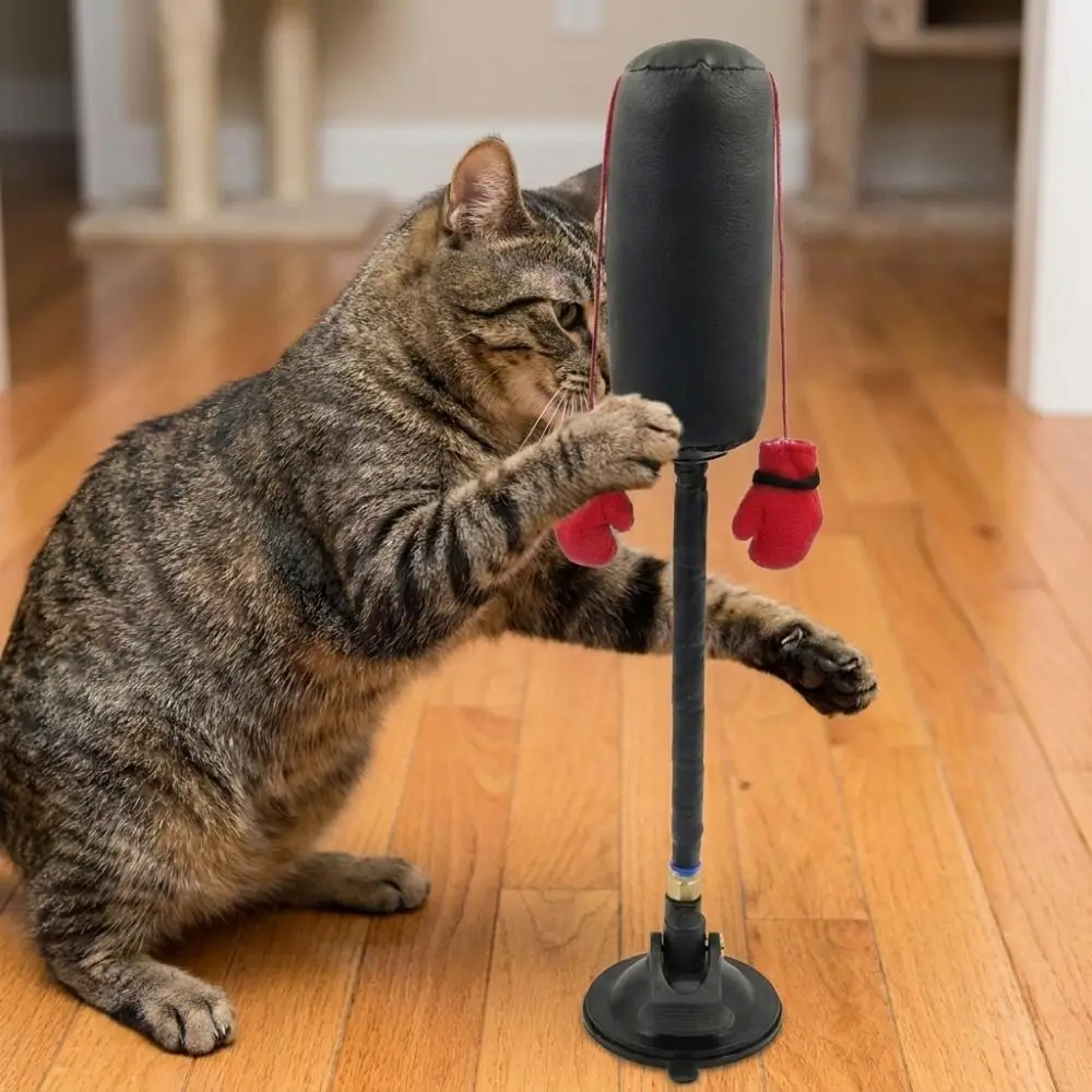 Suction Cup Cat Boxing Toy Scratch Trainer Self-standing Interactive Cat Toy Scratch Resistant Bite Resistant - view 5