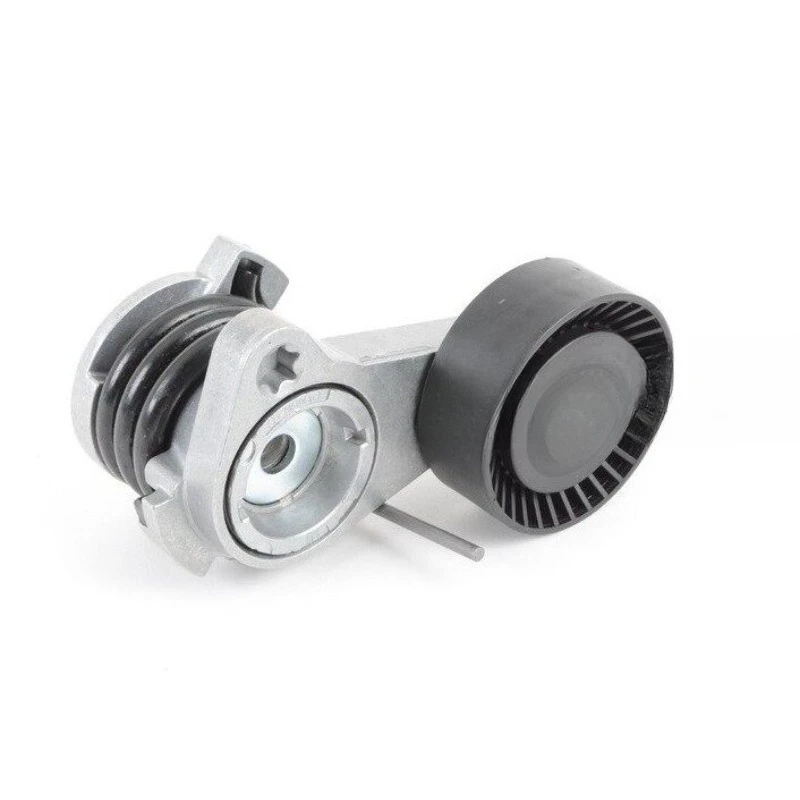 

Automotive Parts Engine Tensioner China Genuine for BMW E90 E60 325 520 525 530 730 X1X5 X3 N52