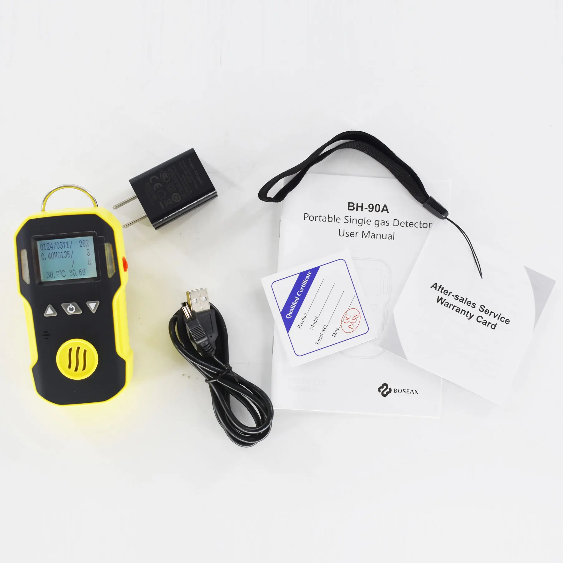 Portable Gas Detector BH-90A-C6H6 0-100ppm
