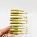 10PCS FR01 zonglv