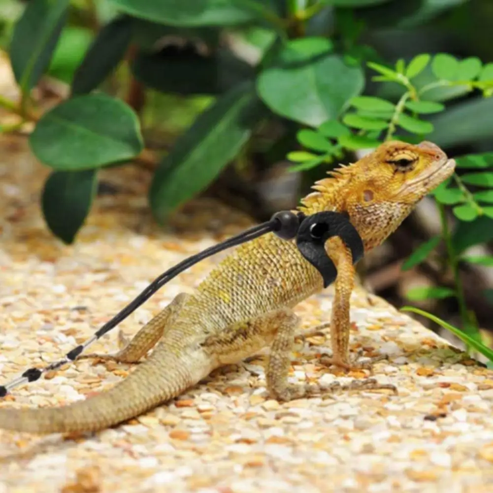 Arnés de pecho ajustable para reptiles, cuerda de tracción para lagarto, suave, cómodo, dragón barbudo, suministros para mascotas, 1 Juego