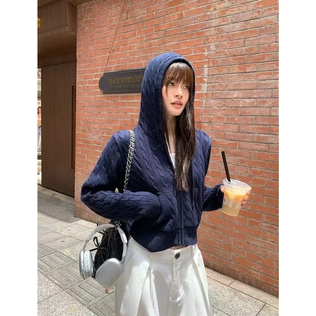 

Women's Sweater Autumn Winter Open Front Knit Sweatshirt with Faux Pockets Hooded Casual Sweatshirt for Daily Commute Wear