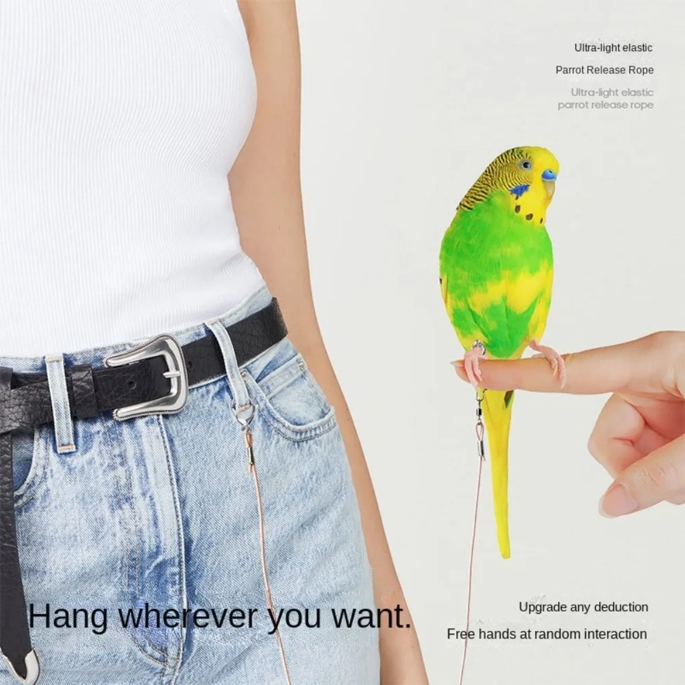 Elastic Parrot Traction Rope Anti-flying Metal Buckle Parrots Training Leash Multiple Size Lightweight Bird Feet Bracelet