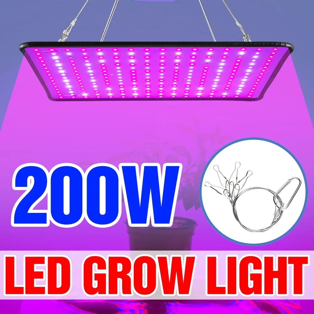 

200W LED Full Spectrum Grow Lights Quantum Board Cultivation Lamp For Indoor Flower Greenhouse Succulent Cactus Moss US/EU Plug