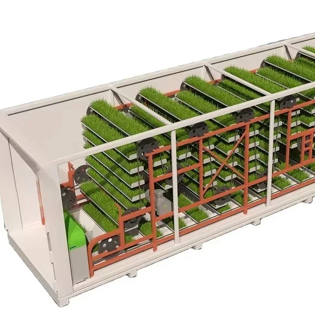 Stable Yield Indoor Farm Lettuce Vanilla Fruit Feed Micro Green Mushroom Automatic 40HQ Hydroponic Container Farm