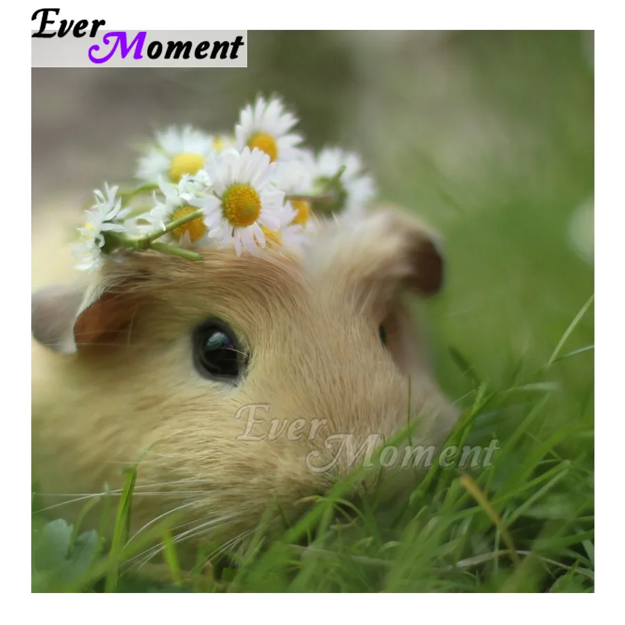 

5D DIY Mosaic Rabbit Grass Ever Moment Diamond Painting Full Square Round Drill Picture Rhinestone Diamond Handmade ASF1564