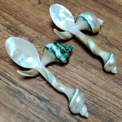 Natural Shell Chopsticks Holder Chopstick Rest Spoon Fork Stand Holder Shellfish House Decor Home Table Party Ornaments