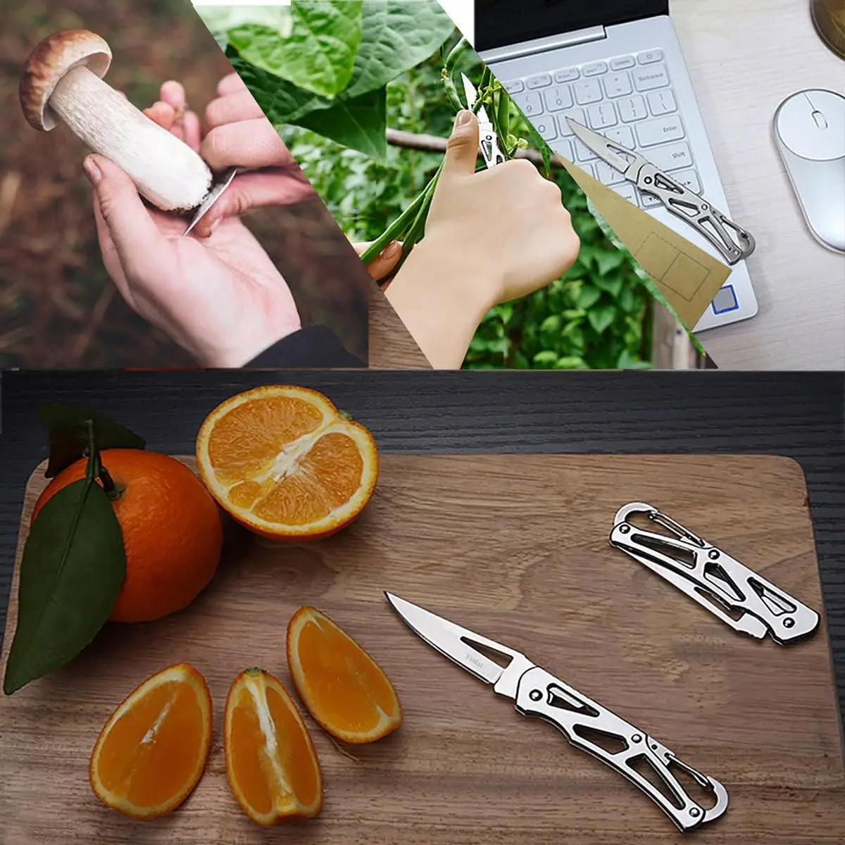 Folding Fruit Knife Outdoor Stainless Steel Knife with Keychain Fruit Slicing Knives with Non-slip Handle Household Small Knife