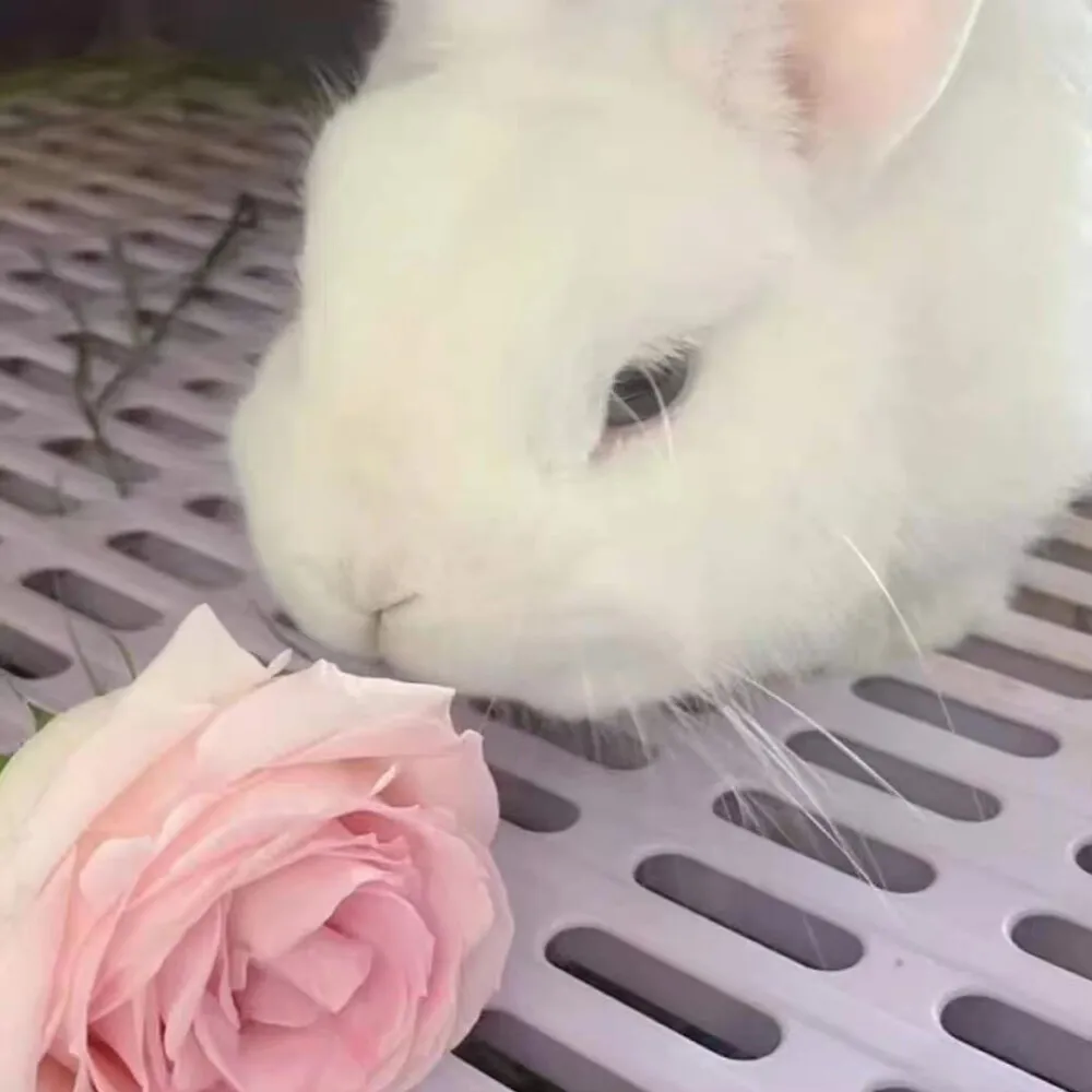 

MJX 10208 V1 V2 Metal Swing Arm Steering Cup Hub Carrier Link Rod Shock Tower Drive Shaft Set RC Car Upgrade Parts Accessories