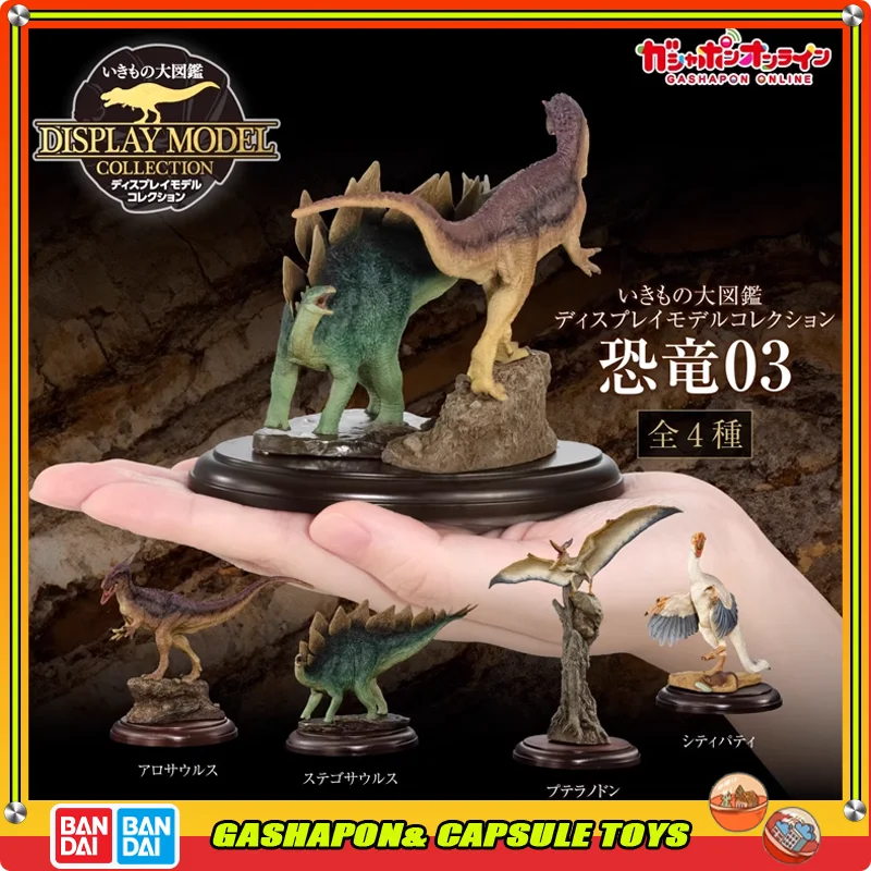 

BANDAI Biological Encyclopedia Action Figures Model Dinosaur Model Stegosaur Tyrannosaurus Gashapon Official Genuine Collect
