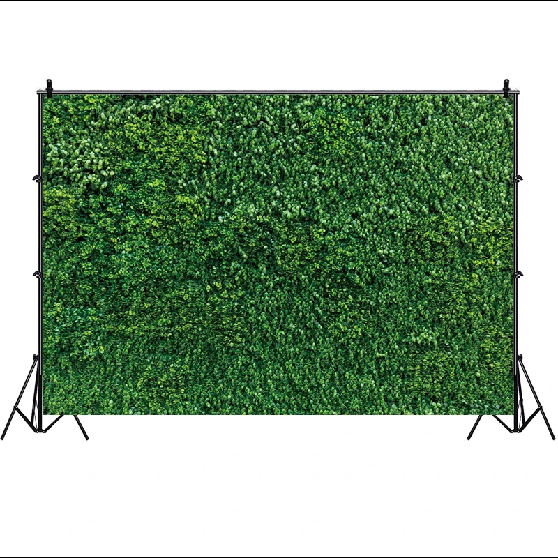 العشب خلفية الجدار لحفلة عيد ميلاد ، أوراق خضراء الزينة ، راية المساحات الخضراء ، خلفية صور الطبيعة ، التصوير الفوتوغرافي