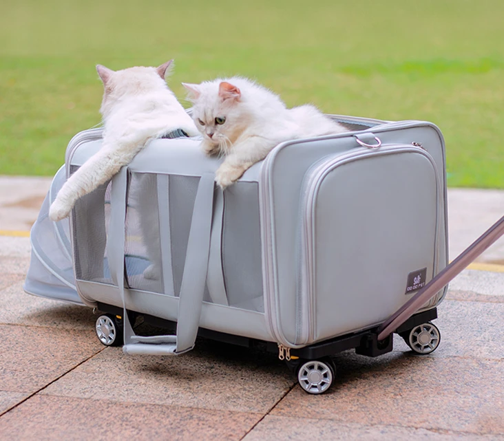 Cat Bag Large Capacity Two Cats Going Out Trolley Box Dog Portable Bag Pet Trolley Backpack Expansion Bag