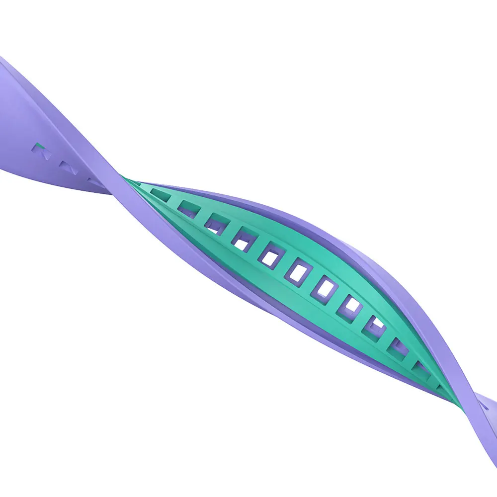 Dây Đeo Đồng Hồ Cho Xiaomi Mi Band 3 4 5 6 Đeo Tay Vòng Tay Dây Đeo Tay MiBand 3 4 Band5 Band6 đồng Hồ Thông Minh Smartwatch Phụ Kiện