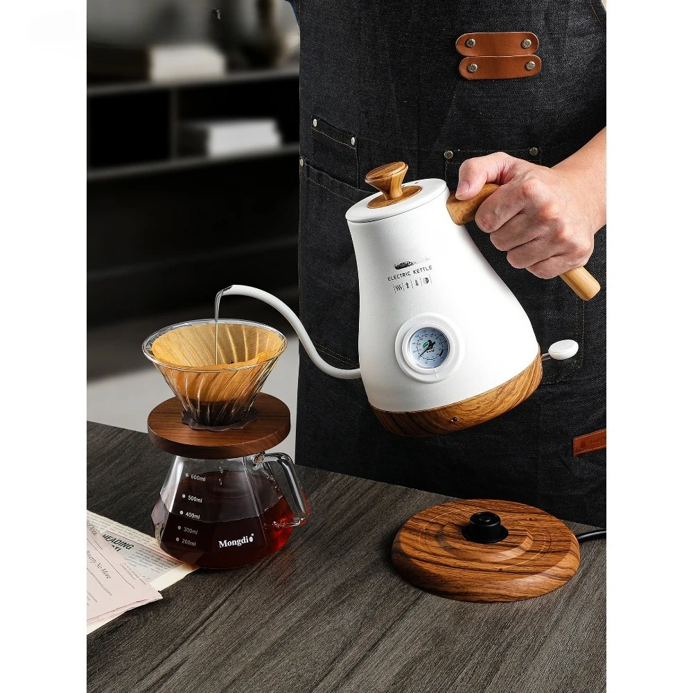 Retro Style Electric Gooseneck Kettle 1.0L | Variable Temperature Control, Stainless Steel for Pour-Over & Tea, 110V/220V
