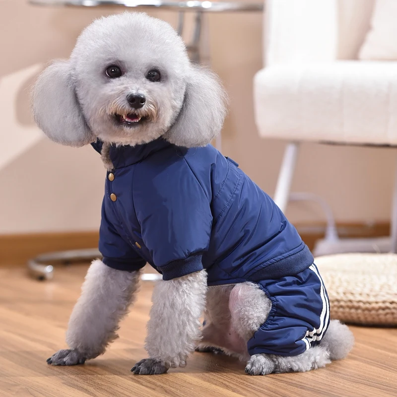 Cute Cats Tracksuit For Dogs Autumn Winter Pet Outfit Jumpsuit Clothing For Puppy Maltese Yorkshire Terrier Small Animal Apparel