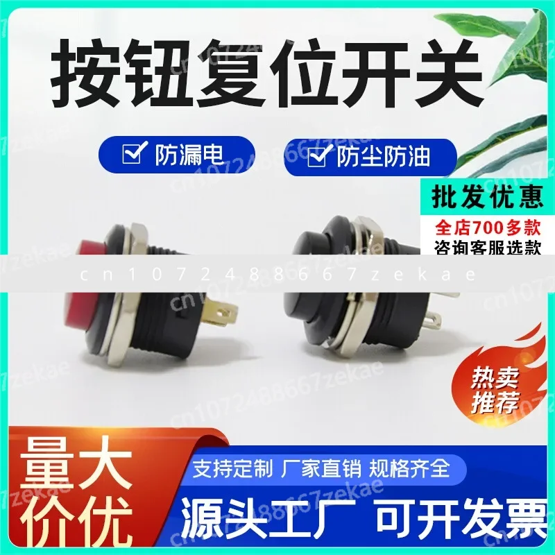 R13 507 Tai-Wan Sci… - image