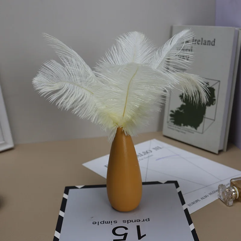 Wholesale 200Pcs Natural Fluffy Ostrich Feathers 25-30cm For Handmade Craft Bridal Bouquet Costume Home Floral Decor Accessories