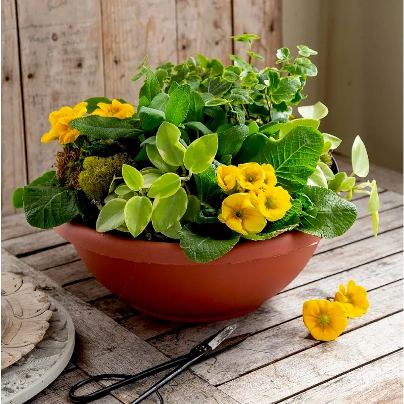 24 Inch Large Garden Bowl Planter - Shallow Plant Pot with Drainage Plug for Indoor Outdoor Flowers, Herbs, Black