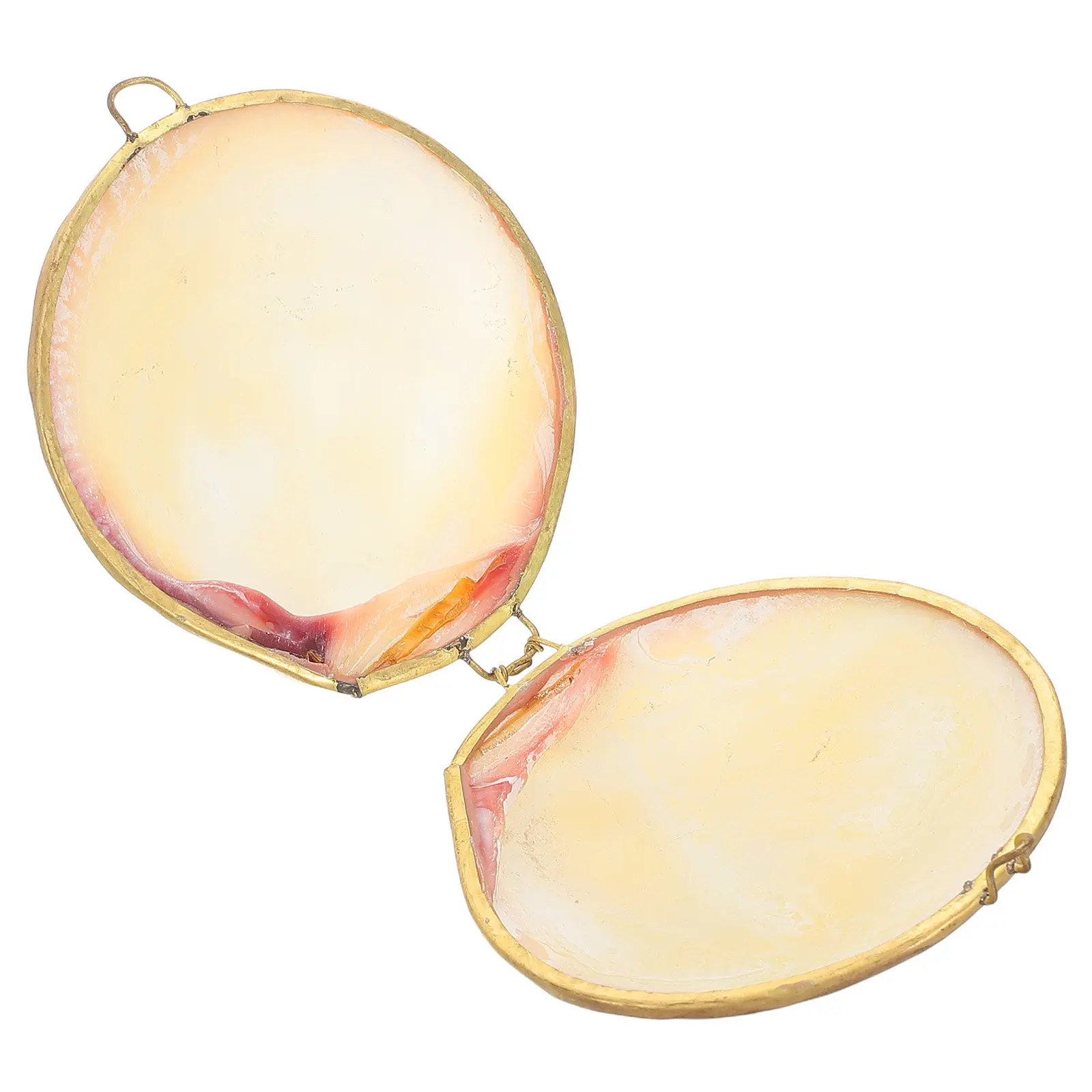 

Natural Seashell Jewelry Holder Small Travel Friendly Ring Earring Necklace Organizer Decorative Keepsake Box Ocean Themed