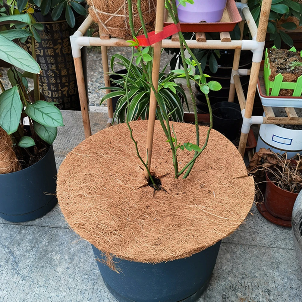 

4pcs Coconut Fiber Pad 25cm Thick Natural Coir Ring Mulch Plant Pot Frost Resistant Breathable Tree Round Vegetable Succulents