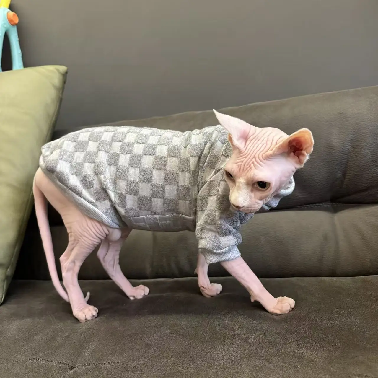Fleecejas voor katten, ideaal voor de herfst, voor haarloze katten, zacht, warm, grijs geruit, lange mouwen, geschikt voor Sphynx- en Devon Rex-katten, wintertrui.