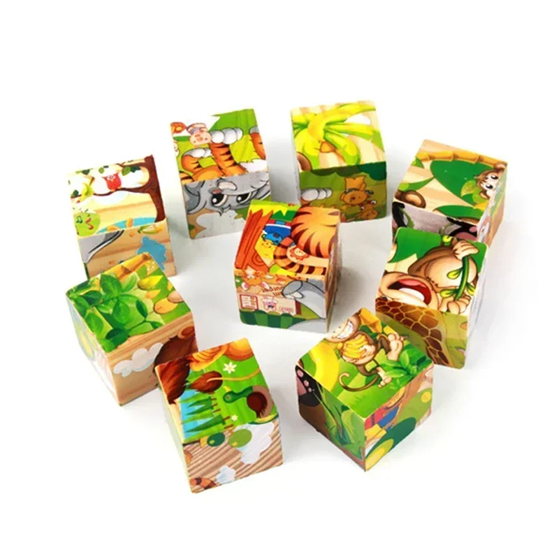 3D Cube Wooden Puzzle Children's Nine Pieces Six-sided Wooden Block Tray Children's Montessori Learning Educational Puzzle Toys